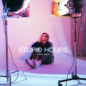 Stupid Hours album image