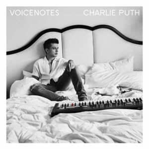 Voice Notes album image