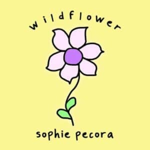 Wildflower album image