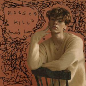 Blossom Hill album image