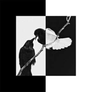 As The World Caves In X Cancer album image