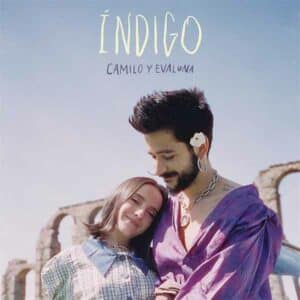 Índigo album image