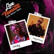 Love Nwantiti album image