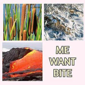 Me Want Bite album image