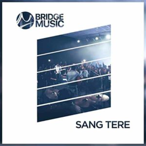 Sang Tere album image