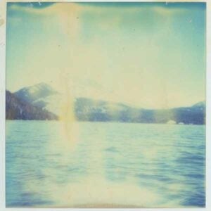 Scotland, I Wish You Had Stayed album image