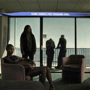 Post Orgasmic Chill album image