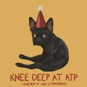 Knee Deep at ATP album image