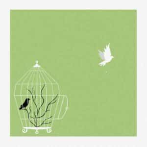 Nothing But Free album image