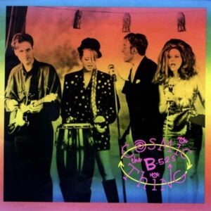 Cosmic Thing album image