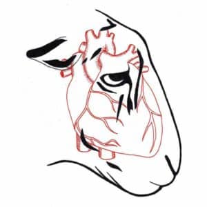 I'm Not Here to Make Friends album image