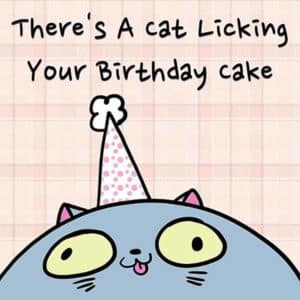 There's a Cat Licking Your Birthday Cake album image