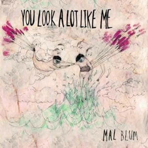 You Look A Lot Like Me album image
