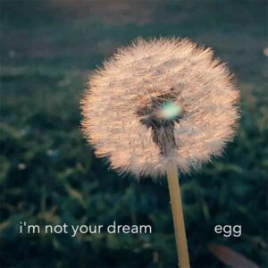 i'm not your dream album image