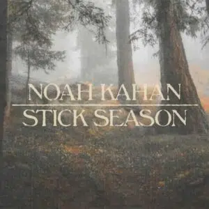 Stick Season album image