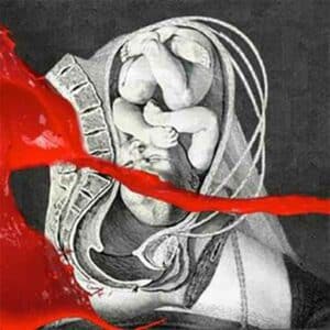 The Unified Field album image