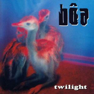 Twilight album image
