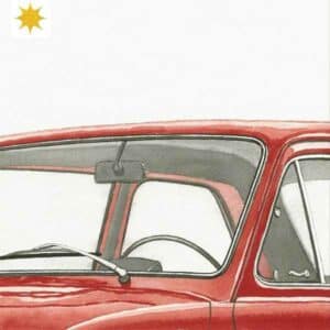 boy with the winfields and the wild heart album image