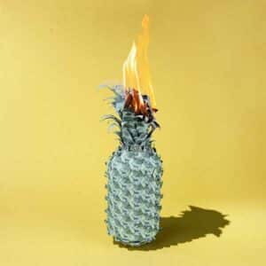 Under The Shade of Green album image