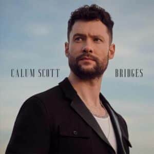 Bridges album image