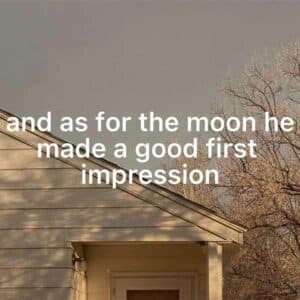 Lover (take me to the moon) album image