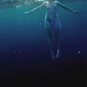 The Shark in Your Water album image