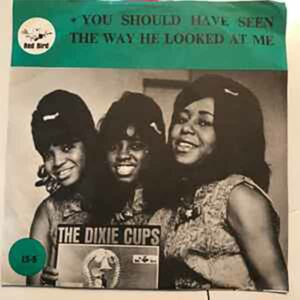 You Should Have Seen the Way He Looked at Me album image