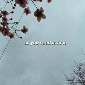 All You Need is Time album image
