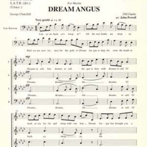 Dream Angus album image