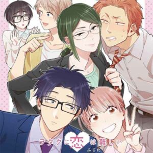 Fiction (Wotakoi) album image