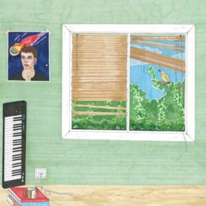 Meteorite album image