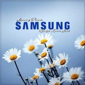 Morning Flower (Samsung) album image