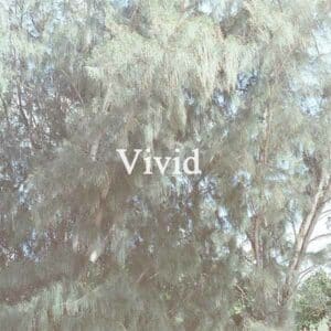 Vivid album image