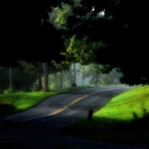 Treehouse (feat. Emily Yacina) album image