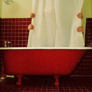 Before We Croak (and Chevy) album image