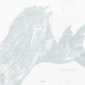 0.1 Flaws and All album image