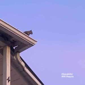 Chandelier album image