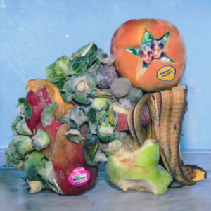 Fruit For Flies album image