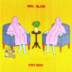 Pity Boy album image