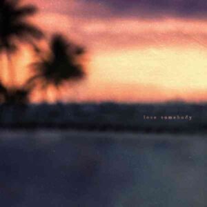 Morgan Wallen album image