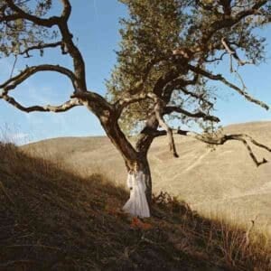 Marigolds album image