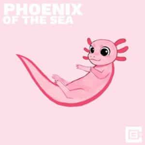 Phoenix of the Sea album image