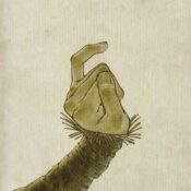 Cole's Response album image