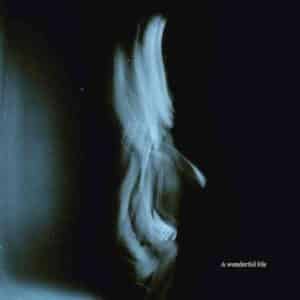 Don’t Cry, Put Your Head On My Shoulder album image