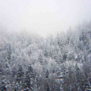 don't play your card album image