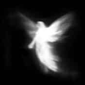 Angel album image
