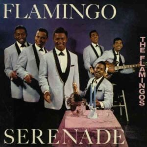Flamingo Serenade album image