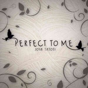 Perfect to Me album image