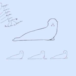 Water Dogs album image