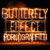 BUTTERFLY EFFECT album image